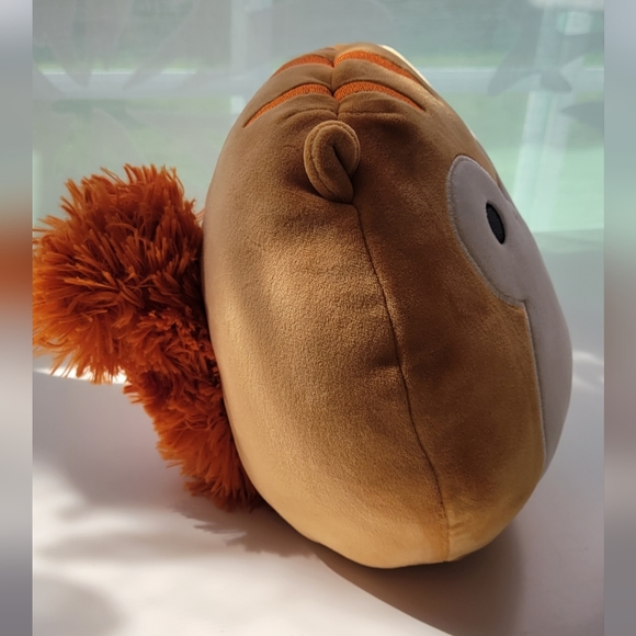 Squirrel - Picture 2 of 3